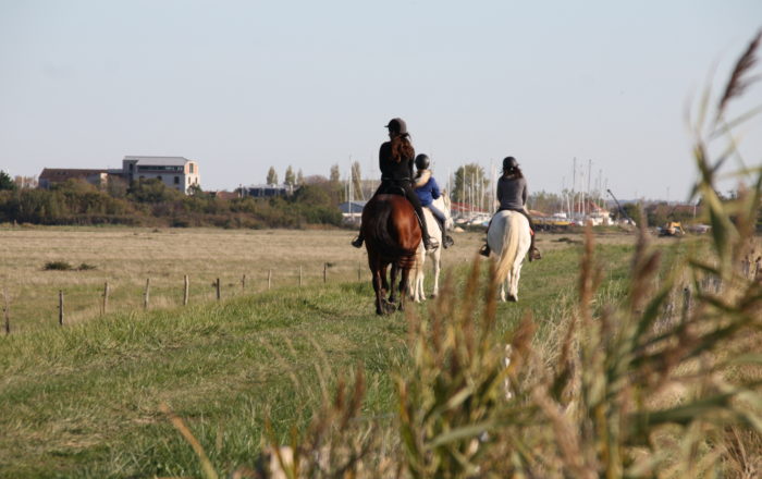 Rando petite camargue