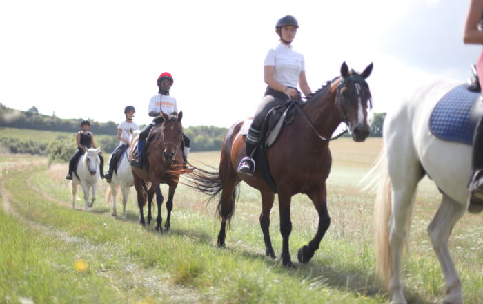 promenade et randonnées à cheval