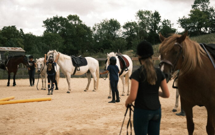 Séjours équitation éthologique